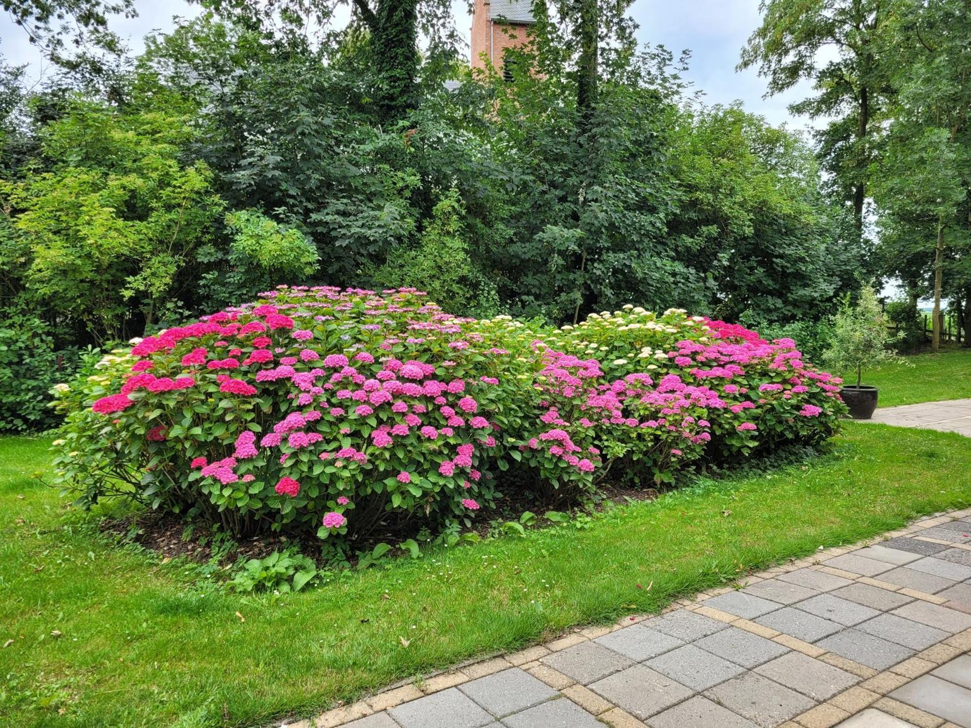 Pastorie Waaxens Bed & Breakfast Екстериор снимка
